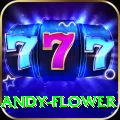 andy flower Champion Gaming App
