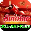 cricket bat Game Super v5.8.4