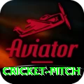 cricket pitch Live Ultimate v5.8.6