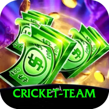 cricket team Premium Pakistan - 2