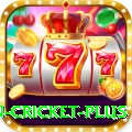 fastest ball in cricket APK Elite v3.1.4