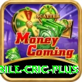 mobile cric Casino Master v3.0.2