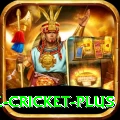 watch live cricket Champion Casino App
