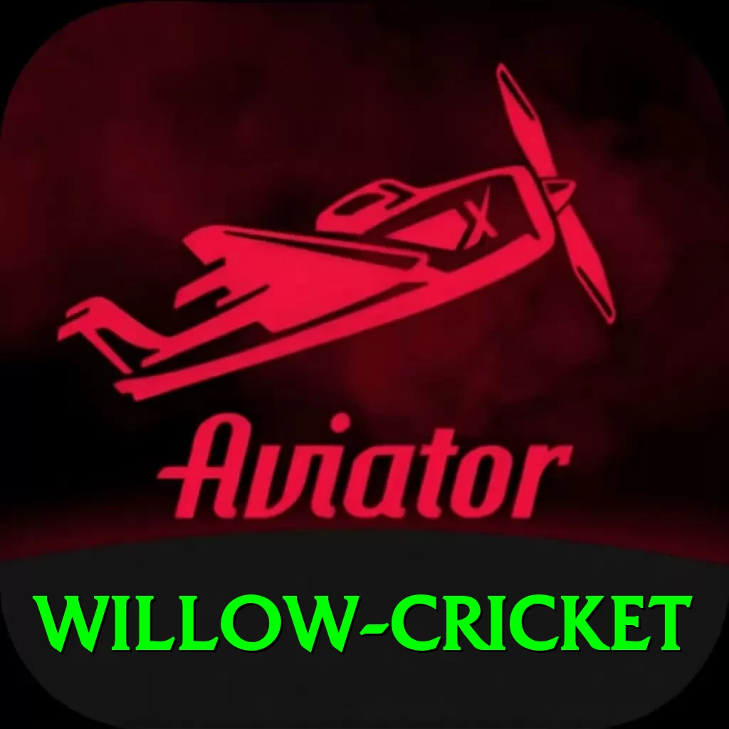 willow cricket Games Deluxe - 2